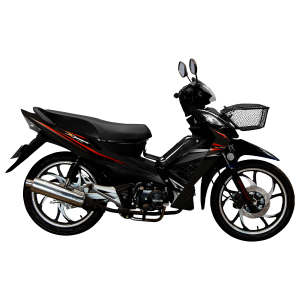 Motocicleta WANXIN - WX110 L8