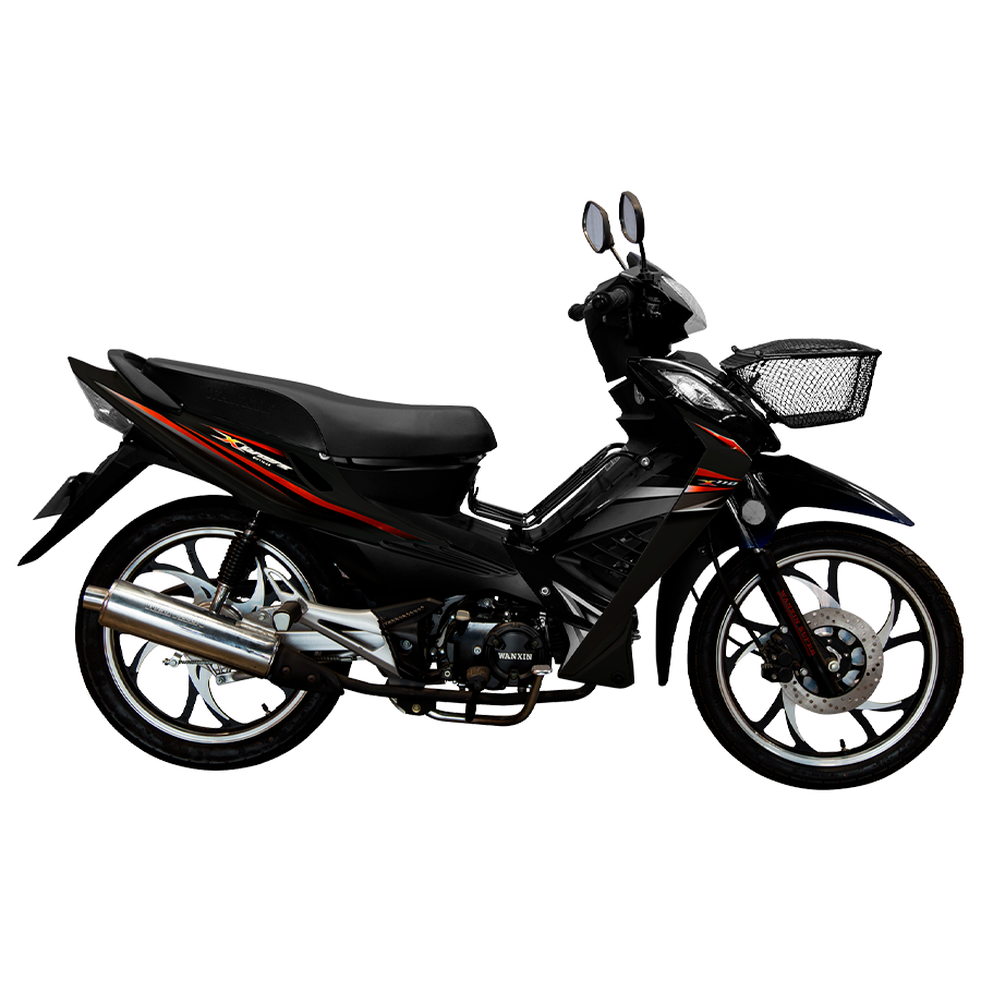 MOTOCICLETA-WANXIN-WX110-L8